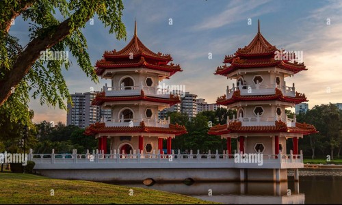 中药老虎草作用是什么-老虎草中草药图片网- 老虎草外用功效与主治知识,分享老虎草中草药图片大全