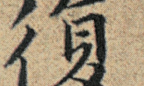 中药老虎草作用是什么-老虎草中草药图片网- 老虎草外用功效与主治知识,分享老虎草中草药图片大全